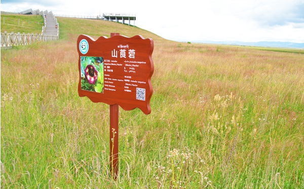 1544741851848234.png 1544741851848234.png