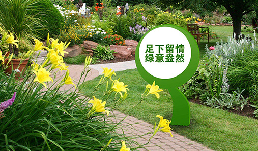 1615953777671001.jpg 21.jpg