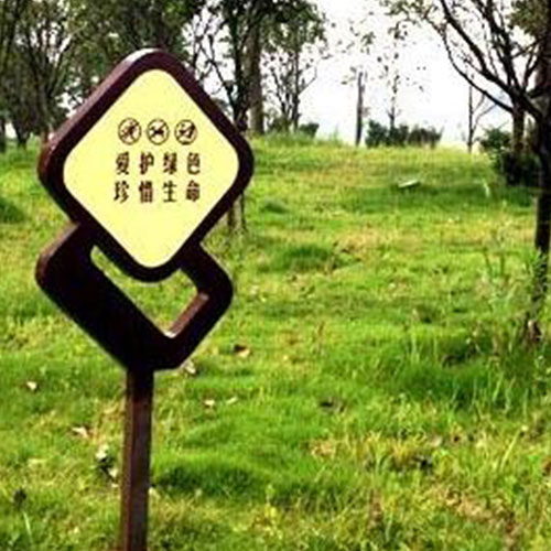 1619165792554371.jpg 10.jpg