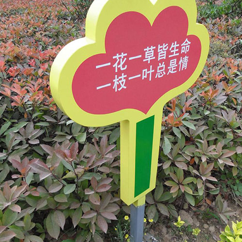 1622021546572698.jpg 5.jpg