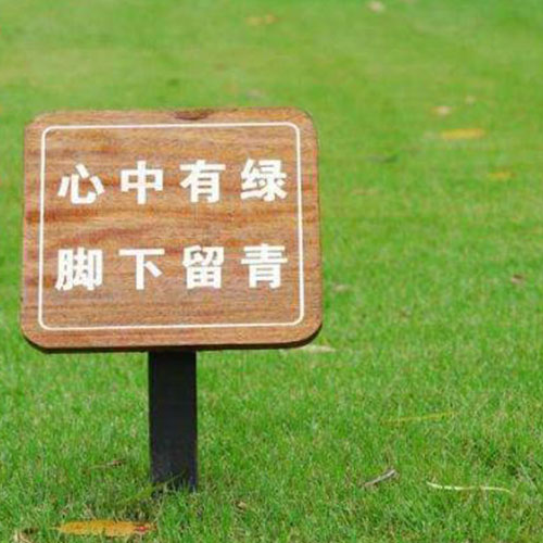 1645694837927073.jpg 6.jpg